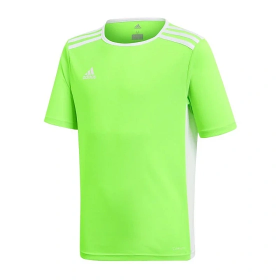 Dětský dres Entrada 18 Jr CE9755 - Adidas