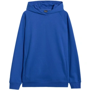 Mikina 4F M 4FWAW25TSWSM1946 36S pánské Mikina 4F M 4FWAW25TSWSM1946 36S pánské