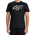 Pánské tričko 4F M3342 deep black 4FWMM00TTSHM3342 020S pánské