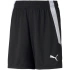 Puma teamLIGA Shorts Jr 704931 03