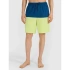 Pánské plážové šortky boardshorts 4F 4FWSS25UBDSM135-45S