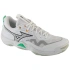 Mizuno Wave Momentum Elite V1GA251221 White 41