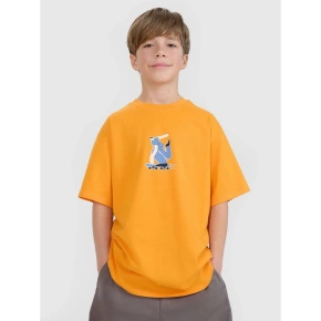 Chlapecké tričko s potiskem 4F 4FJRSS25TTSHM2641-70S Chlapecké tričko s potiskem 4F 4FJRSS25TTSHM2641-70S