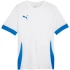 Puma teamGoal Matchday Jersey M 705747 12 pánské