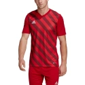 Pánský dres Entrada 22 Graphic Jersey M HB0572 - Adidas