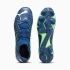 Boty Puma Future Match FG/AG M 107370-03