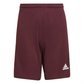 Squadra 21 Short Jr GN8081 - Adidas