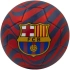 FC Barcelona fotbal 272373