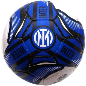 Inter Milán fotbal 134021