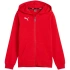 Dětská mikina Puma teamGoal Casuals Hooded red 658596 01