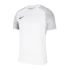 Tričko Nike Dri-FIT Strike II Jr CW3557-100