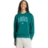 Pánská mikina adidas Collegiate Sweatshirt green JM1733 pánské