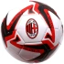 AC Milan fotbal 134489