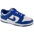 Boty Nike Dunk Low Retro M DV0833-103