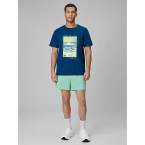 Pánské plážové šortky boardshorts 4F 4FRSS26UBDSM229-33S