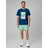 Pánské plážové šortky boardshorts 4F 4FRSS26UBDSM229-33S