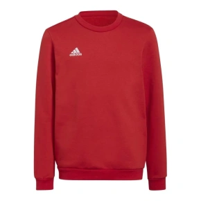 Dětská mikina Entrada 22 Sweat Jr H57473 - Adidas