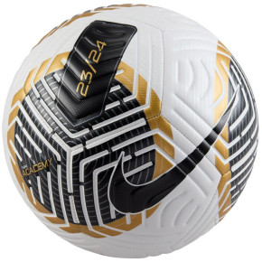 Fotbalový míč Nike Futsal FB2894-103