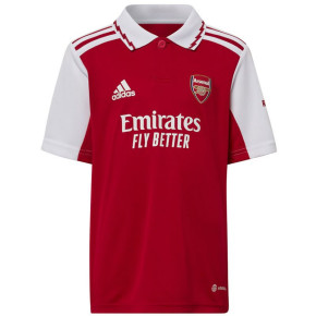 Dětské domácí polo tričko Arsenal Londýn HA5346 - Adidas