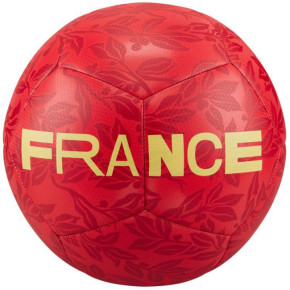 Francie fotbal DQ7285 657 - Nike